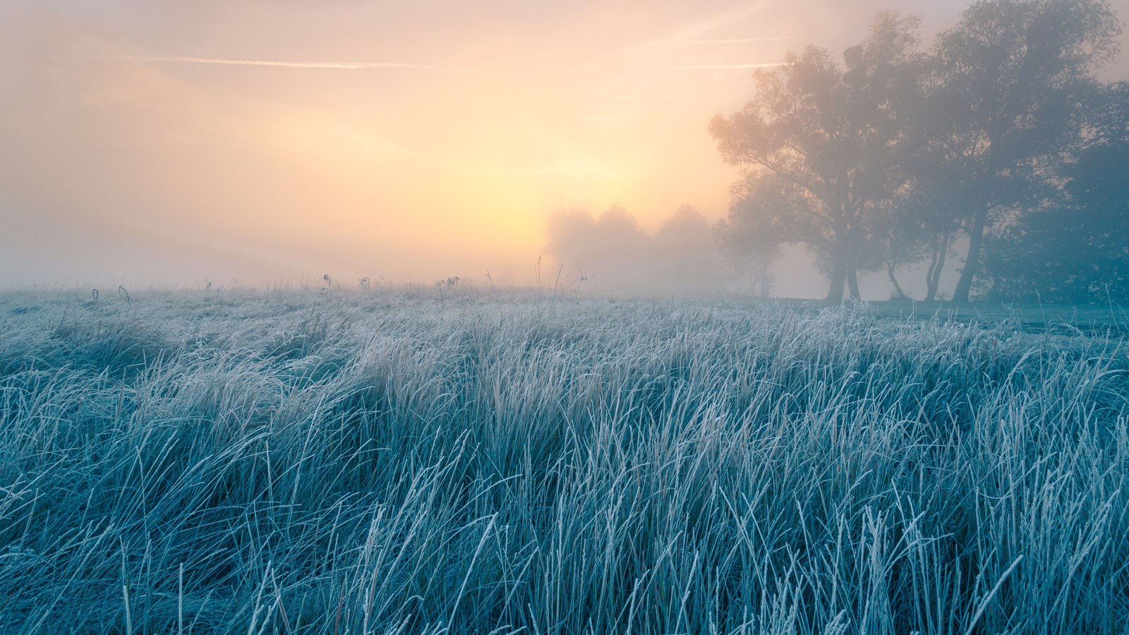 Die perfekte Morgenroutine (die zu dir passt)